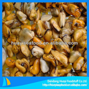 new iqf high quality mussel meat